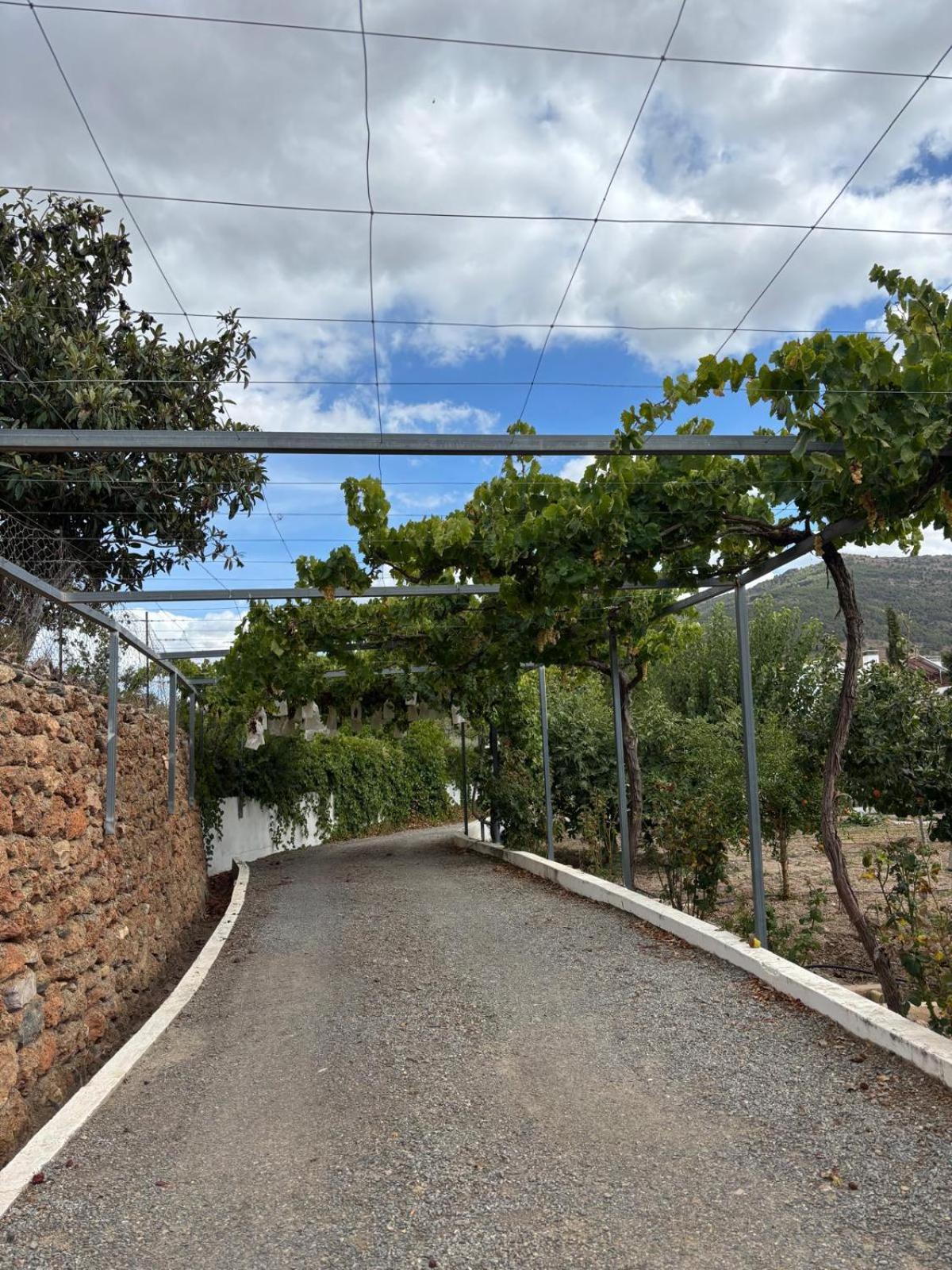 El Domingo En El Valle Fondón Extérieur photo